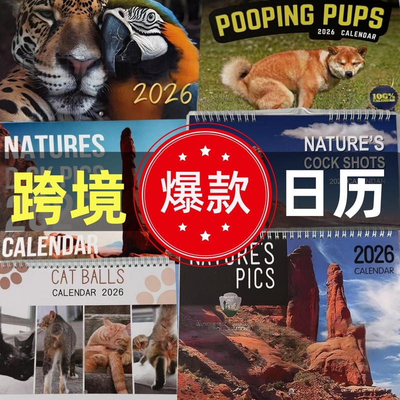 2026年跨境TEMU亚马逊外贸英文歌词猫咪女性桌面日历挂历|undefined