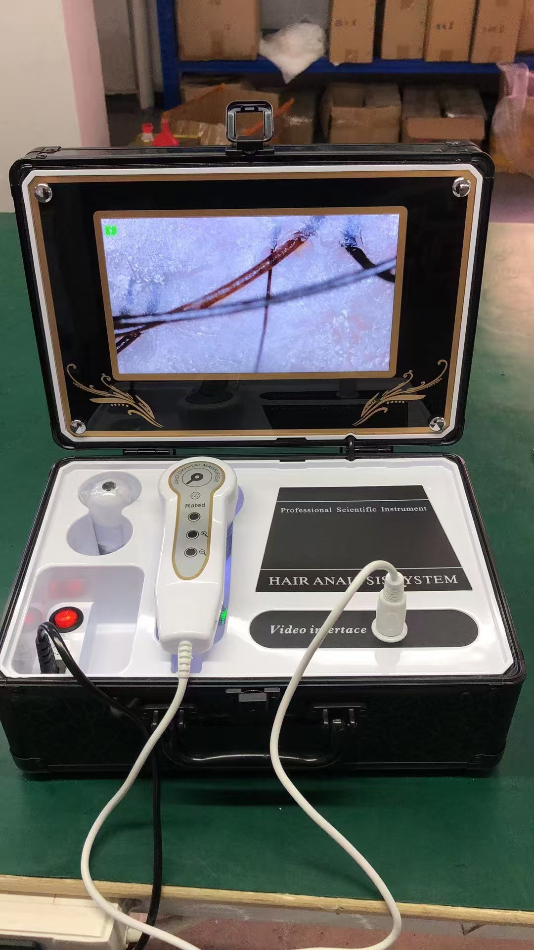 Analizador de Cuero Cabelludo, Probador de Cabello y Piel, 9 Pulgadas, 10 Pulgadas Fijo, 12 Pulgadas, Dispositivo de Belleza Recargable con Enchufe para Uso en Tiendas