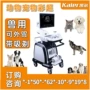 猫狗医院医疗宠物彩超机
