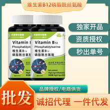 华中医药维生素B12磷脂酰丝氨酸100片/瓶母婴社区团购会销批发