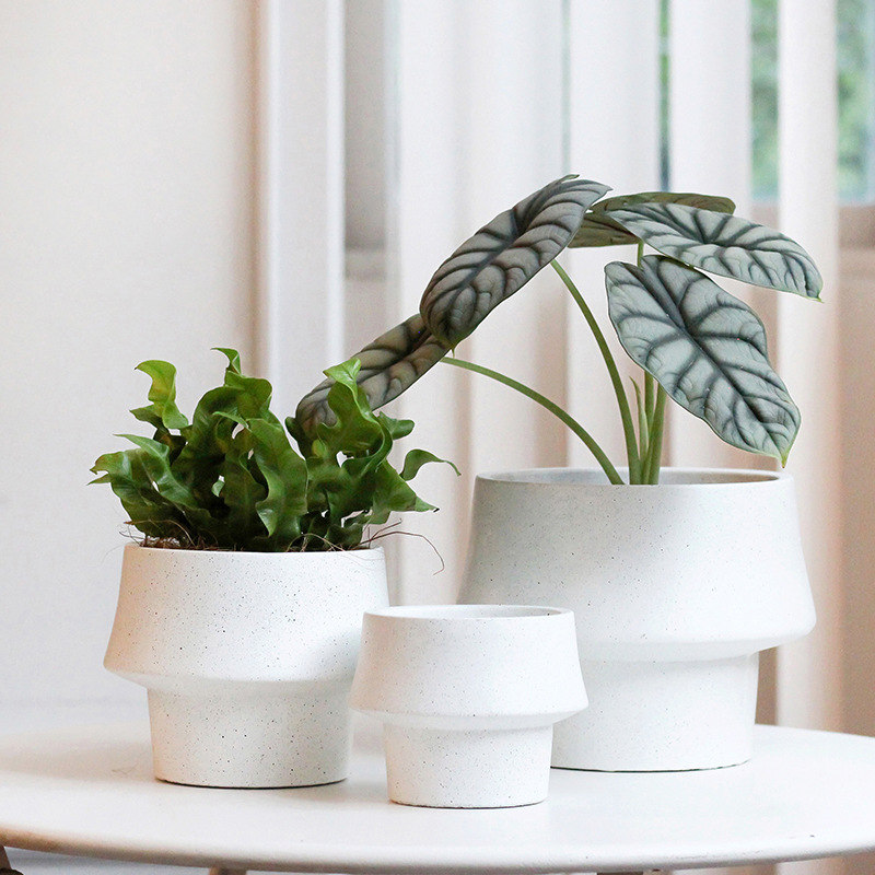 Korean-style creative cement flowerpots with large diameter, succulents and personalized special-shaped internet celebrity orchids, ferns and green plants large flowerpots