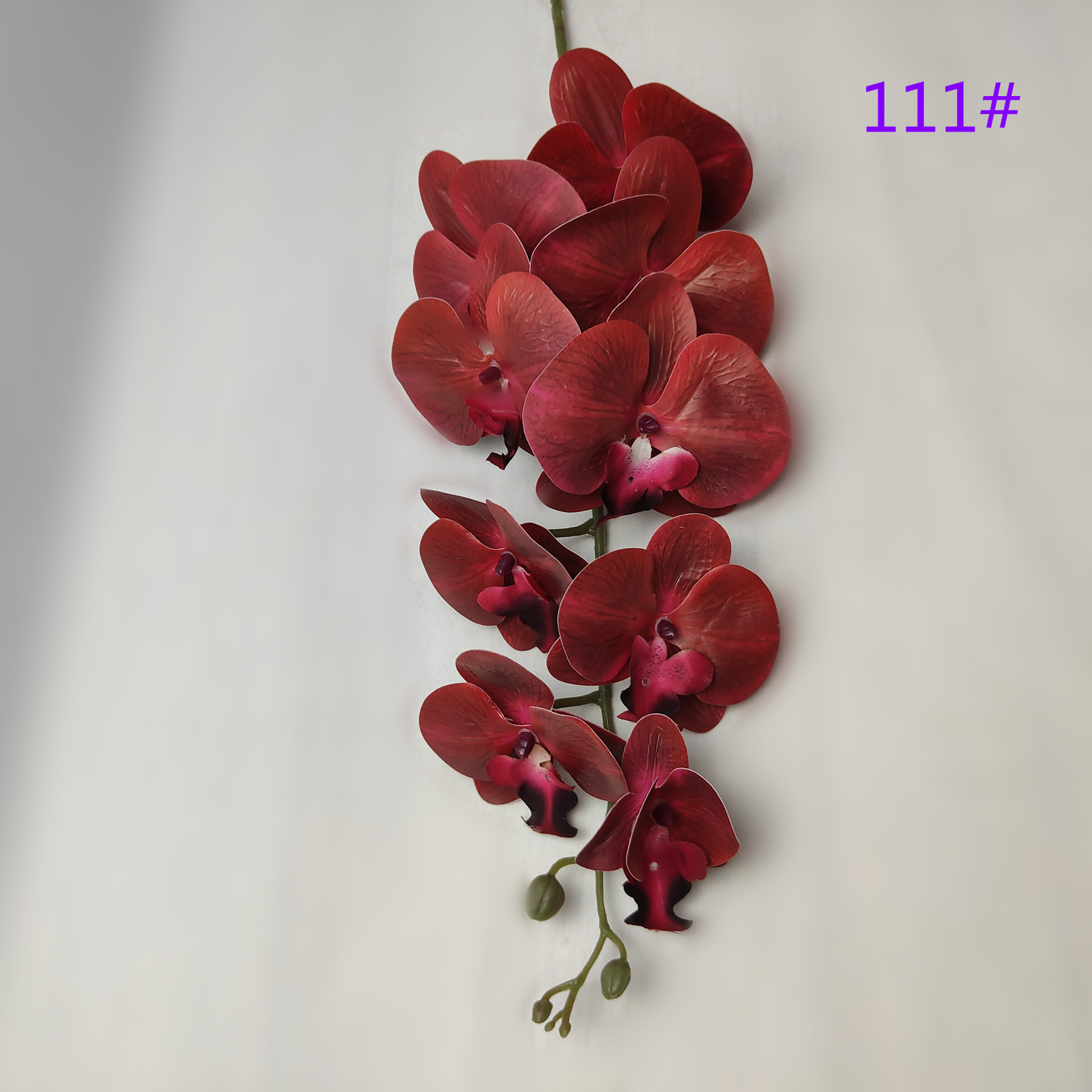 IMG20230509162404_副本