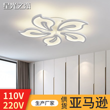 亚马逊卧室吸顶灯led磨砂亚克力客厅灯北欧简约书房餐厅中山灯具