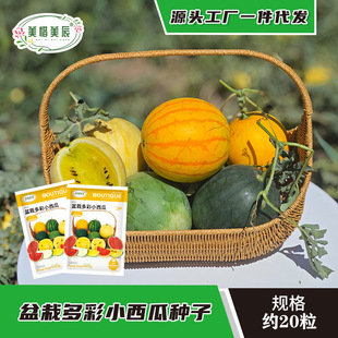 ���Զ��С���ϷN�ӻ��b���ϷN�Ӵ������ԶYƷ���ϵ��ϷN�ѷN��