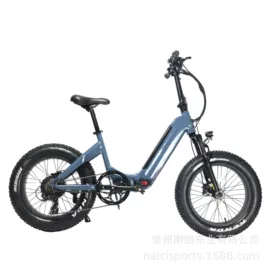 电动自行车;其他配件