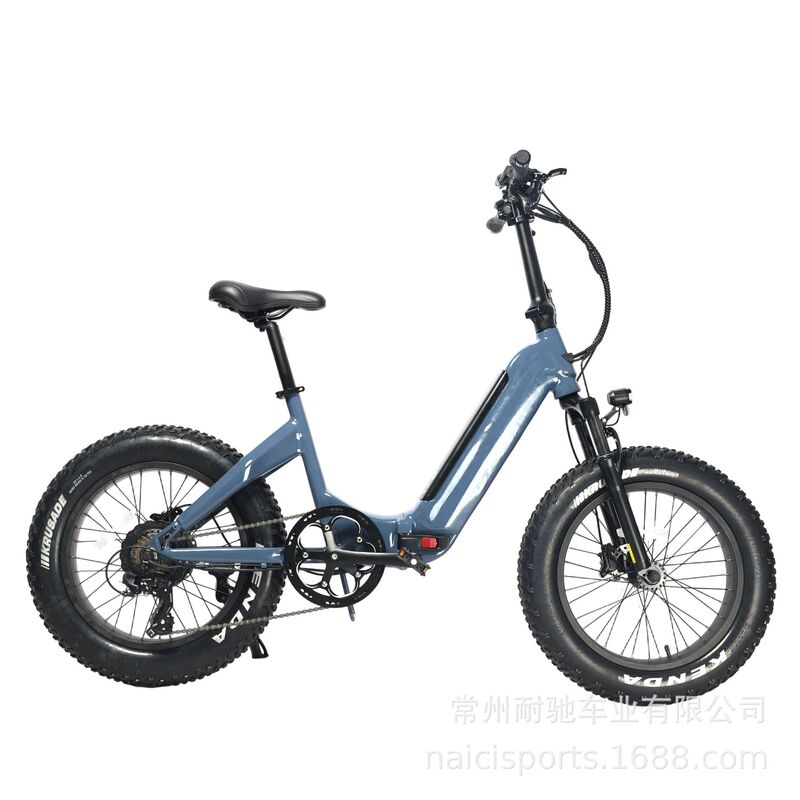 20-Inch Folding Electric Bicycle with Aluminum Alloy Fat Tires, Off-Road Electric Assist Bike for City Commuting and Mountain Riding