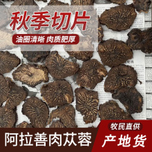 ���ɹŮa��؛Դ�����＾��ɐ�ظ���Ƭ�ݾ��ݲ谾����ɐ��ș��