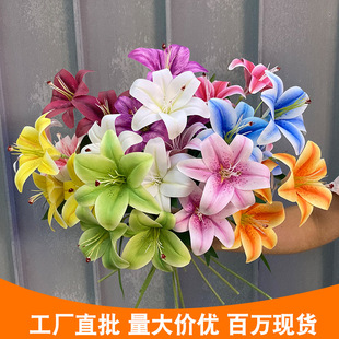 3�^3D��ٺϷ��滨С�t��ͬ�����]��c��Y�b廨�����zӰ�쾰