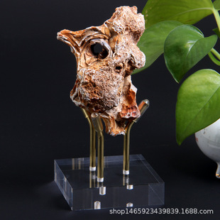 6cm acrylic Clover ore display stand crystal mineral raw stone stone base bracket