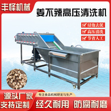 多功能大姜清洗机 连续式高压喷淋药材清洗机 姜不辣清洗机
