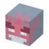 133_Binding ghost