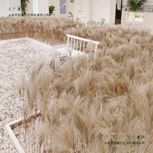 ��Ȼ�JȔ�ɻ��������������b[���JȔ�����m������ɻ���c����