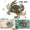 MF green hairy crab (hollow)