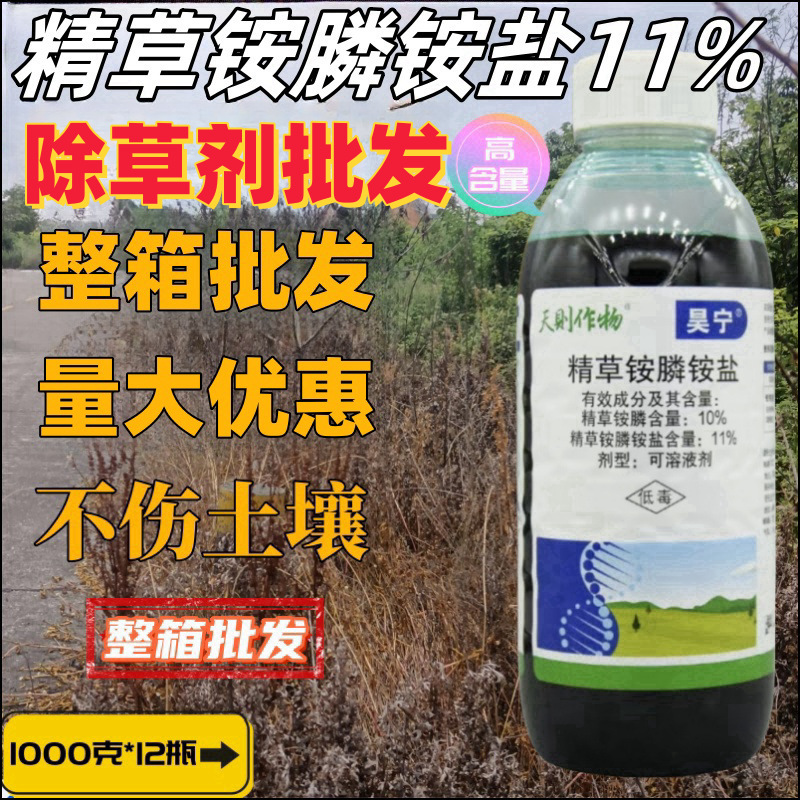 11%精草宁昊_副本