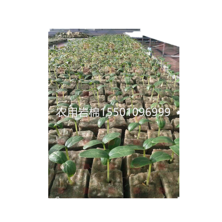 诺美特福农用岩棉育苗块