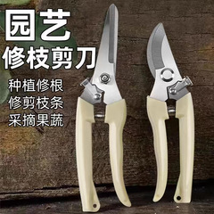 家庭用の花と木の果樹を修理して園林を接ぎ木して予備のスプリングを切ります。