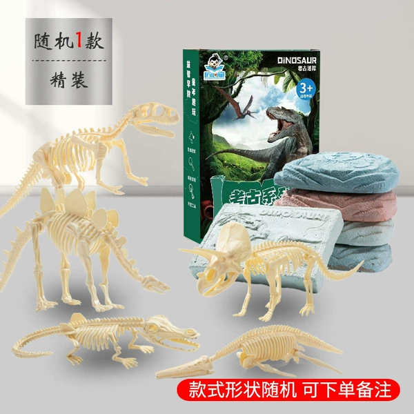 Dinosaur, set, fossil, hard cover, 3 piece set