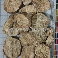 菊苣根,为菊科植物菊苣的根,批发中药材生菊苣根