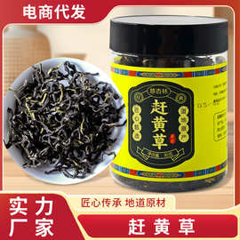 赶黄草30g/罐四川古蔺原产地高山采摘煮水泡茶天然草本晒干赶黄草
