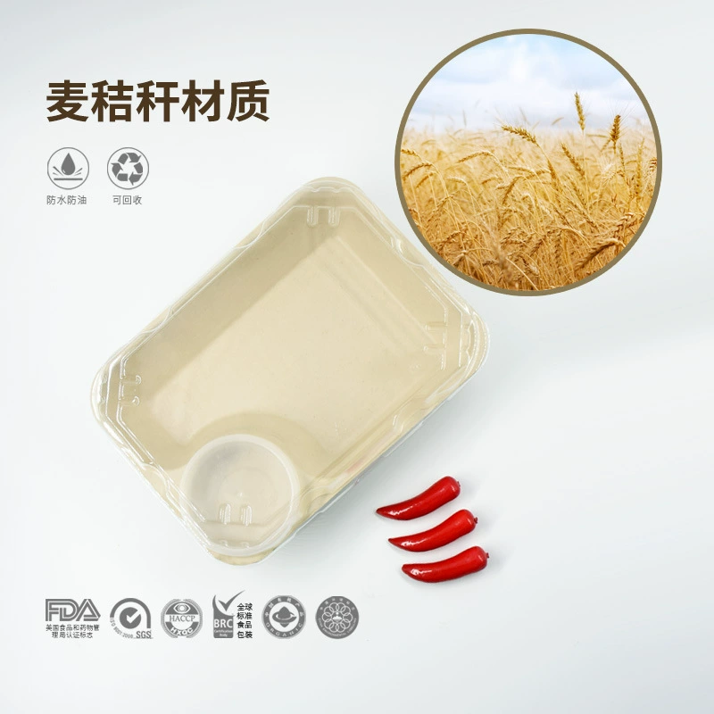 Disposable lunch box pulp degradable sauce salad one package box rectangular light food simple meal lunch box