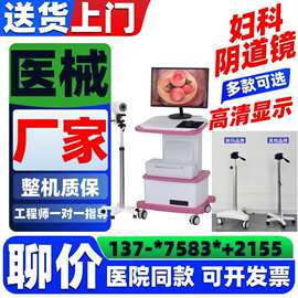 外贸款出口便携式电子阴道镜Portable Colposcope手持式推车阴道