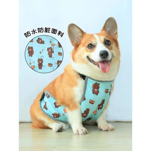 Pet Dog Waterproof Belly Warmer for Spring and Autumn, Keeping Warm in Summer, Corgi-Specific, Cross-Border Hot Selling Pet Gear