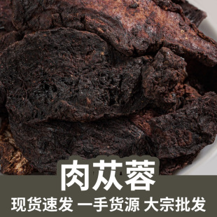 ���ɹŰ�������ɐ��ܛ�|��ɐ���i������ݾ���؛��ܿ��Ƭɢ�b��