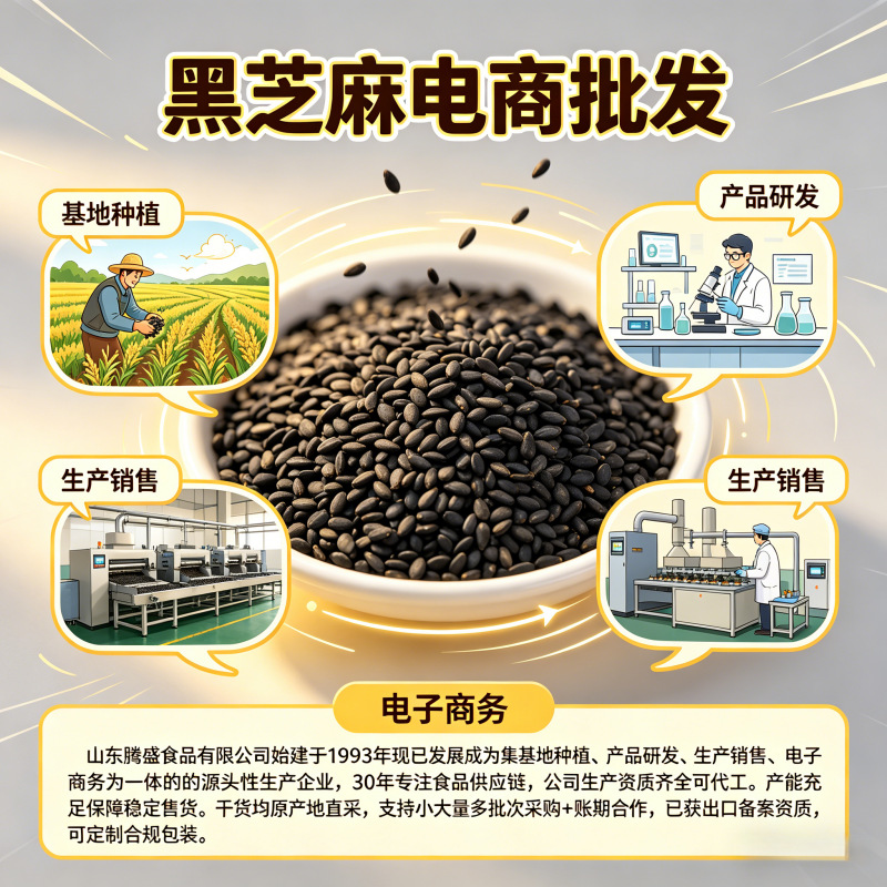 腾盛黑芝麻熟生芝麻无沙新货批发电子商务批發贸易特产零食白芝麻