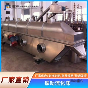 Lotus Root Powder Granule Production Line Equipment Food Chemical Wet Granulation Vibrating Fluidized Bed Dryer Metabo