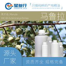 �ЙC�R������ �R�_��˹���M���o�w��Ħ��ֲ����A���o�l��ԭ��