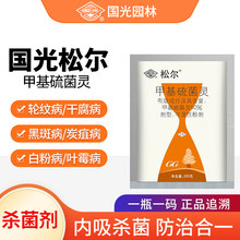 ɠ 50%׻`݆yɸzܾG»