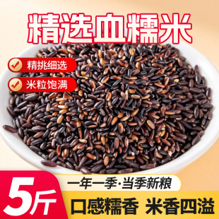 5����ѪŴ�����׺�Ŵ����������������̲��s�ּZ1��
