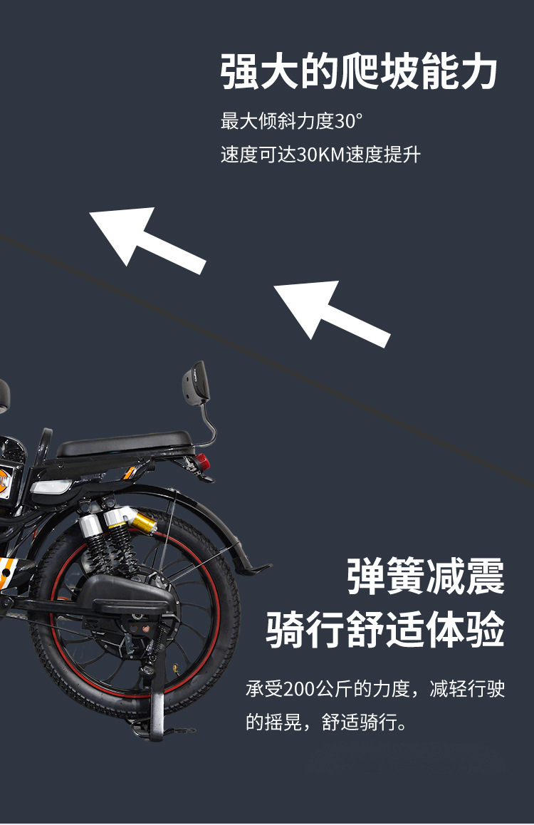 Large Tire Electric Bicycle Adult Two-Wheeled Electric Commuter Bike