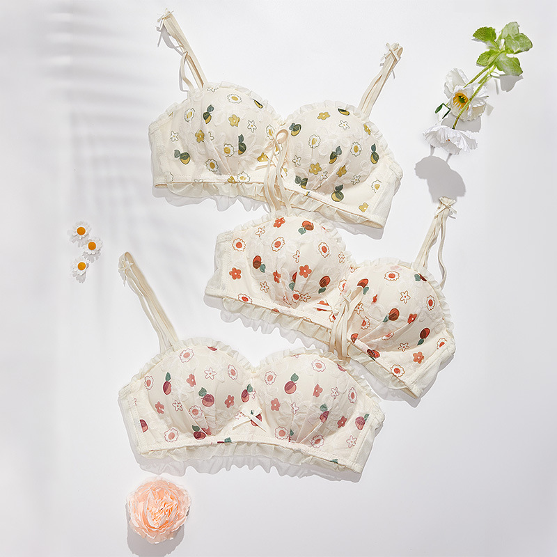 Venta directa de fábrica comercio electrónico transfronterizo Sudeste de Asia Vietnam Tailandia damas dulces sujetador de colección lateral sin costuras