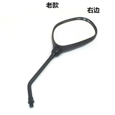 Hj Other 25 Diamond Leopard – Motorcycle rearview mirror - old-style-rearview-mirror-right-side-10mm-regular-wire