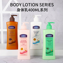 �|�ρ��羳��ʿ�����w�����w�鱣���̝����w�o������ā�ﶬ���w��