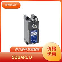 ����Ԫ���� ��ť���� SQUARE D 9007EA17
