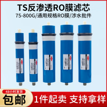 TS反渗透膜滤芯75/100/400/600G纯水机通用RO膜滤芯净水器过滤芯