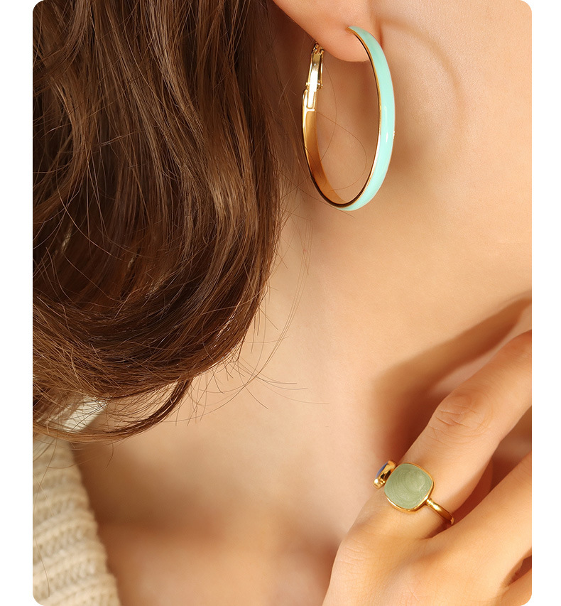 Fashion Circle Titanium Steel Enamel Hoop Earrings 1 Pair