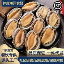 捞汁鲍鱼鲜冻鲍鱼批发商用肉带壳活冻捞汁鲍鱼冷冻