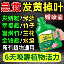 ֲ��I�BҺͨ���ͻ��ʼ������԰lؔ��G�}���F��ˮ�໨�ܾGֲ����