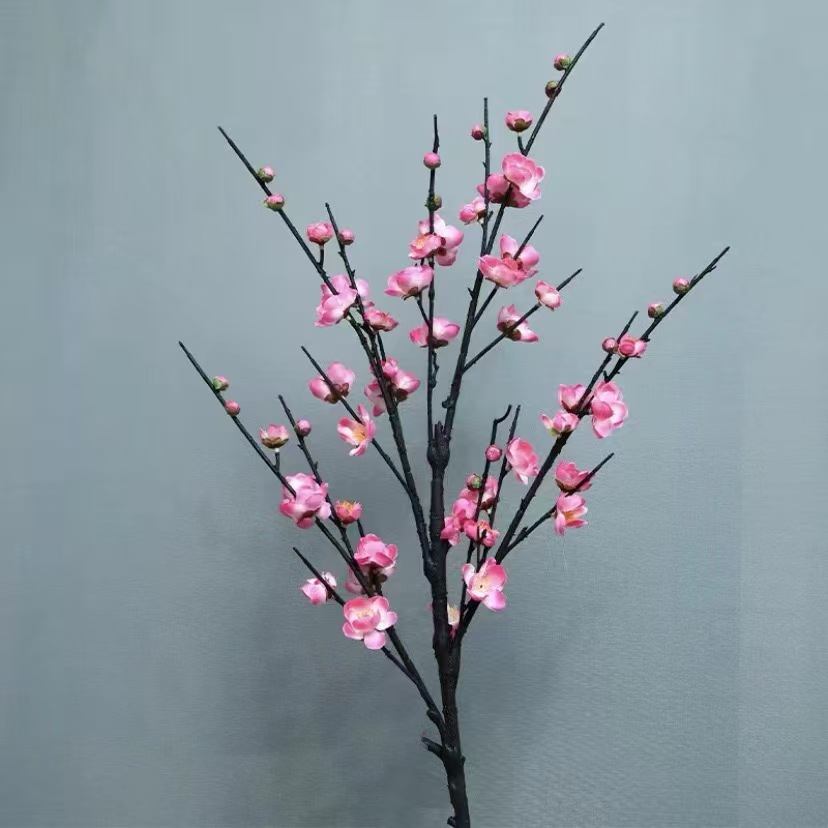 큰 여섯 갈래 매화 핑크