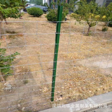 �F�z�W����֧�ΗUȦ���Bֳţ�ھW�ӵ̷��W�Bֳ���ڲ�ԭ���ھW