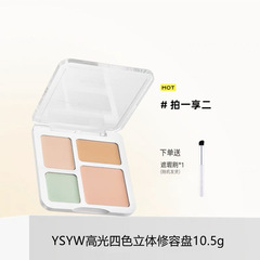 YSYWの4色のカバーの美容盤のMIKの同じ顔のカバーの斑点のニキビの印の涙の溝の法令の紋様の暗い目の周り