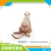 PL127-3127 Sitting position fox 獴 10g