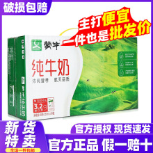 12月新货纯牛奶24盒牛奶整箱200/250ml中老年学生早餐纯奶团