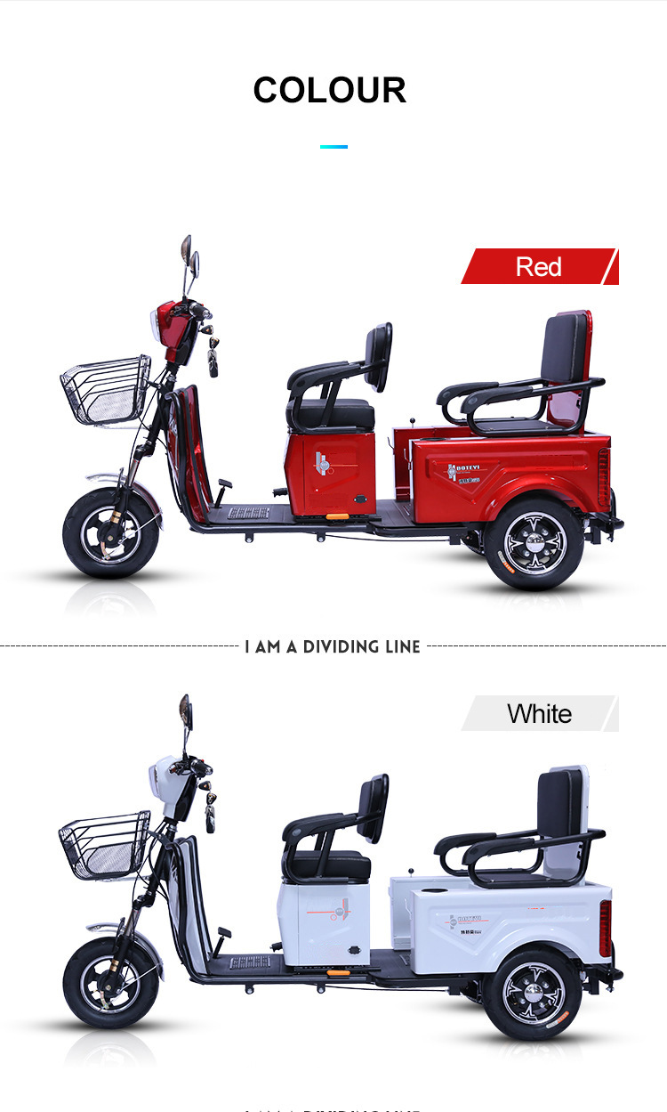 Electric Tricycle for Students, Child Safety Design