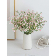 G 63740 Baby's breath flower �����Ƿ��滨�羳����ͨ����