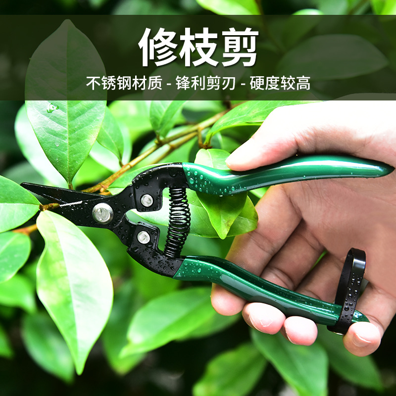 园林工具果树修枝剪刀果枝剪园林花枝摘果剪园艺树枝剪花艺剪现货