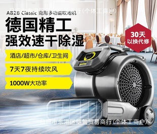 German Kach Dehumidification Floor Blower Floor Dryer Commercial Carpet Toilet Floor Drying Fan Ab28